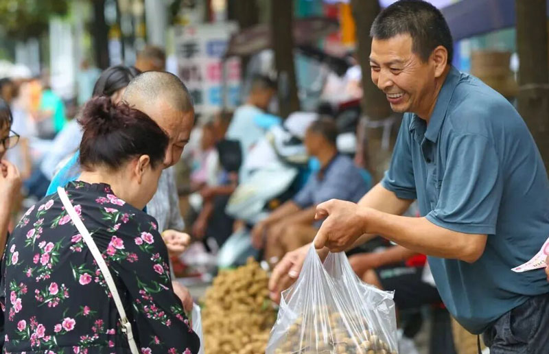 一颗泸州晚熟桂圆的万般打开方式
