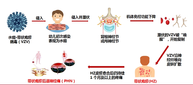 刀７.jpg