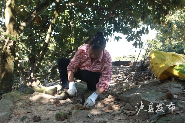 果3.jpg