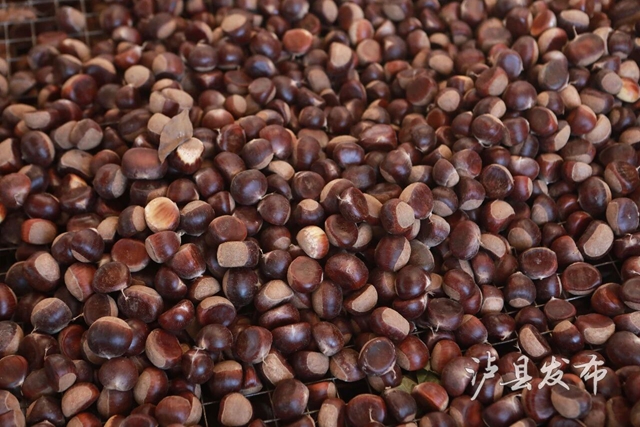 果10.jpg