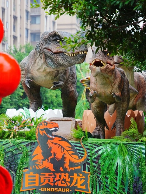 龙6.jpg