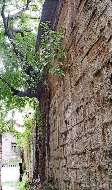 城4.jpg