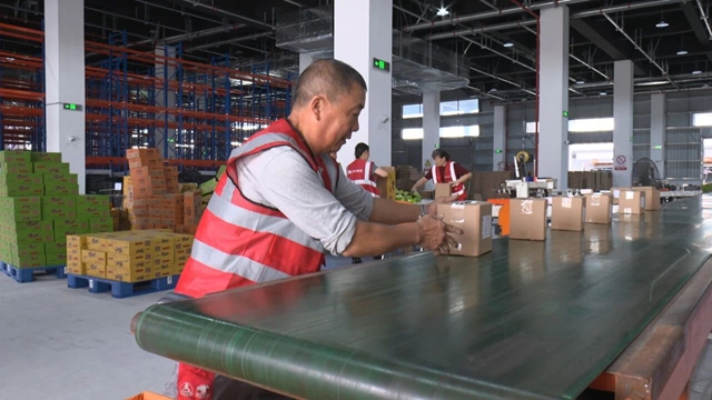 投产!京东(内江)智能物流港进入试运营阶段(图2) 东2.jpg