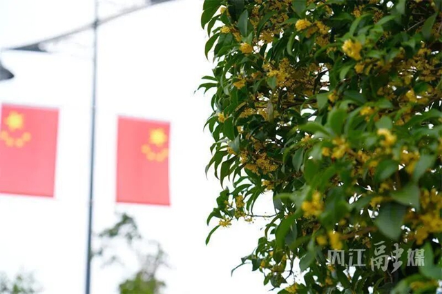 内江8.jpg