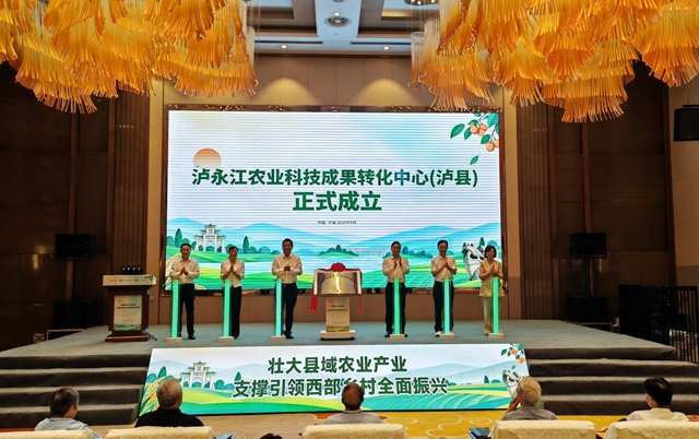 县2.jpg