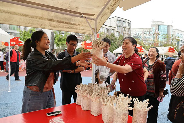 千架无人机点亮泸县夜空!今天继续嗨(图26) 26.jpg