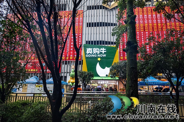 DSC_0450-拷贝.jpg
