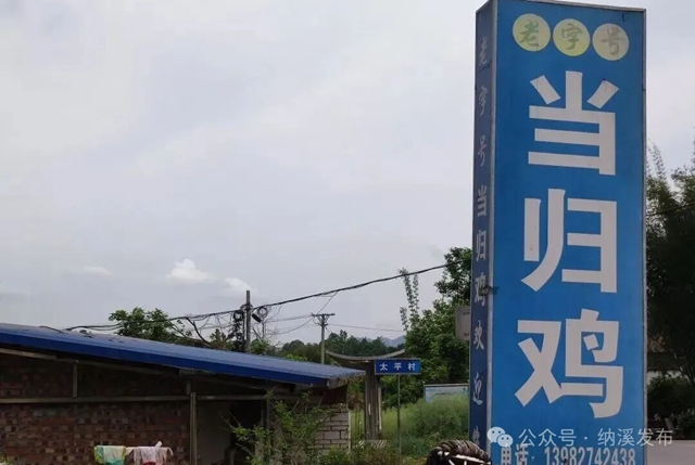 醉美家国欢丨国庆节,来纳溪享受 “鸡” 动时刻!(图14) 15.jpg
