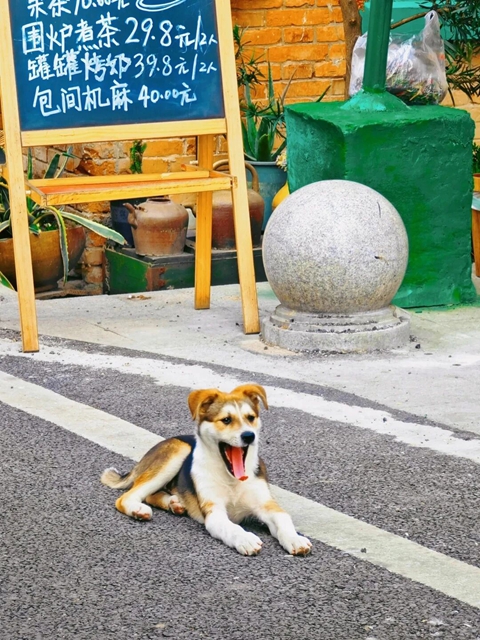 国庆来泸州,这8个出片地拍完再走(图6) 6.jpg