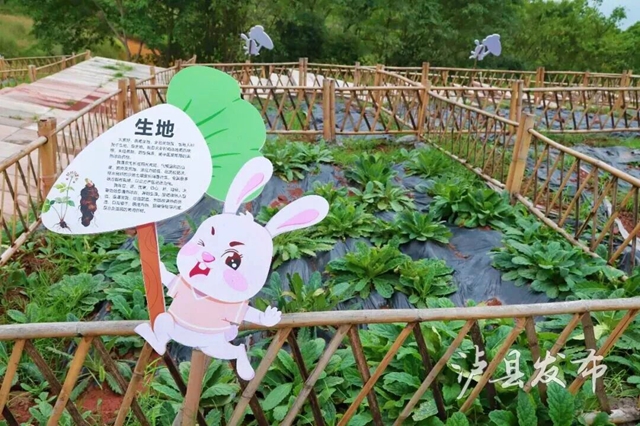 抓住假期尾巴,来泸县近郊游打卡,吃喝玩乐一键get(图2) 2.jpg