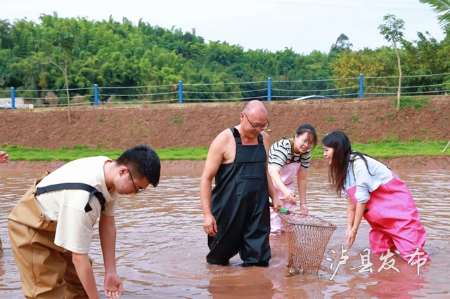 抓住假期尾巴,来泸县近郊游打卡,吃喝玩乐一键get(图9) 9.jpg