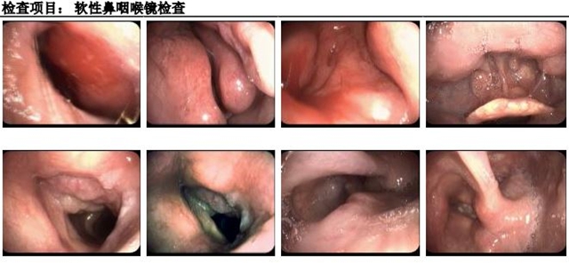 专家1.jpg