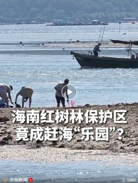 自然2.jpg