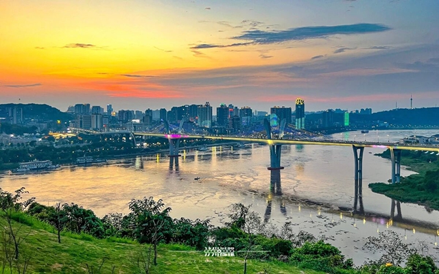 绿1.jpg
