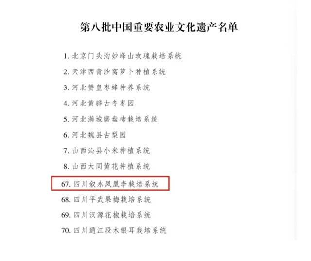 产2.jpg