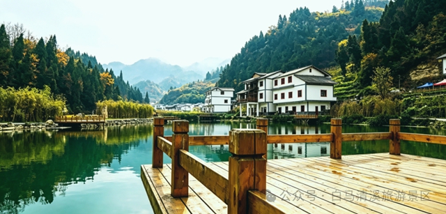 白马2.jpg