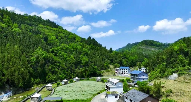 白马4.jpg