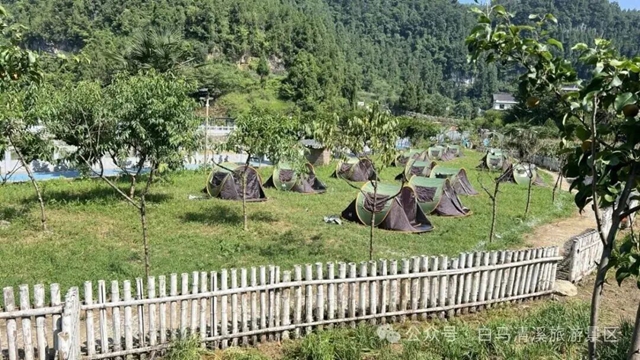 白马6.jpg