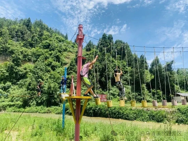 白马9.jpg