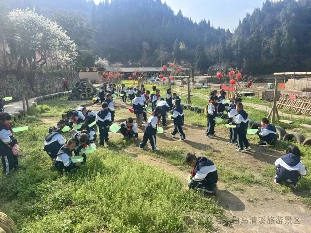 白马10.jpg