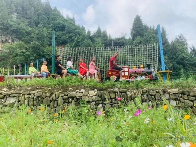 白马13.jpg