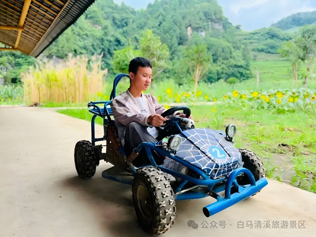 白马14.jpg