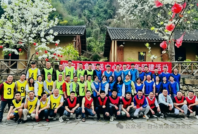 白马17.jpg
