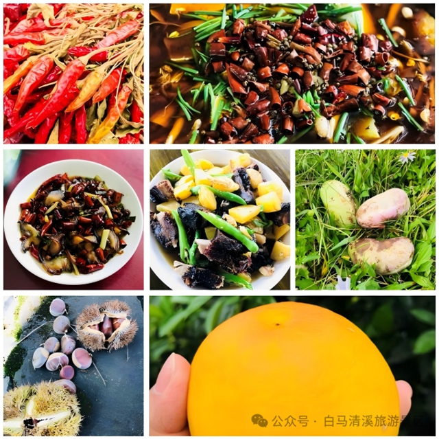 白马21.jpg