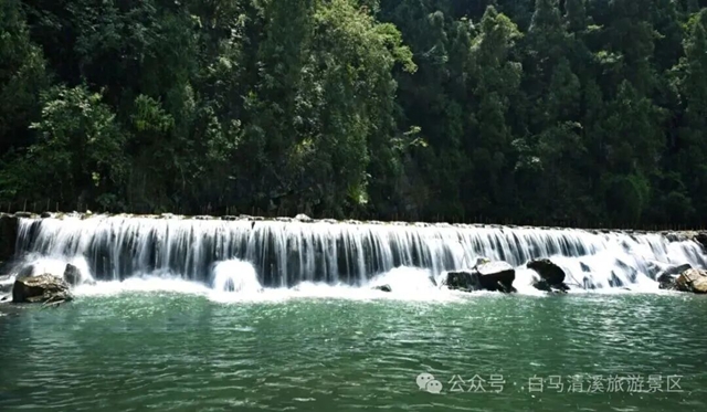 白马22.jpg