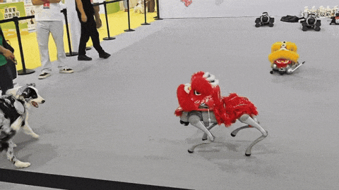 14.gif
