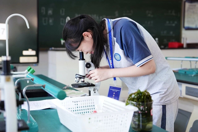学校21.jpg