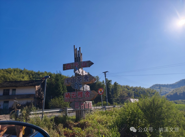 刷屏朋友圈!G546秋日小黄花大道+色彩漫步,解锁纳溪最治愈深秋(图14) 黄14.jpg