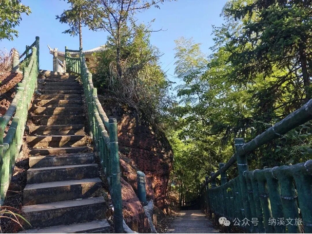 刷屏朋友圈!G546秋日小黄花大道+色彩漫步,解锁纳溪最治愈深秋(图16) 黄16.jpg