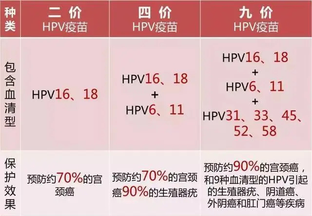 00后、05后女子外阴长“菜花”,确诊宫颈癌前病变!感染HPV后到底有多可怕(图5) 8.jpg