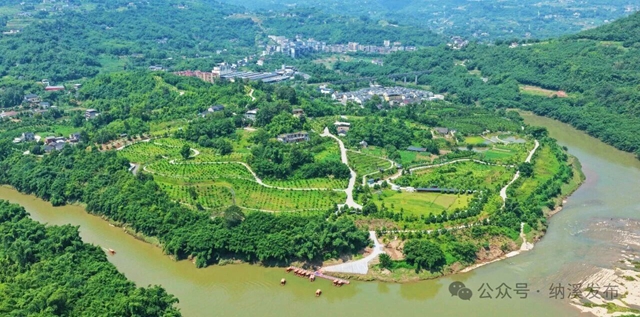 一颗红橙“甜”满乡 纳溪天仙镇撂荒土地变身千亩增收果园(图1) 1.jpg