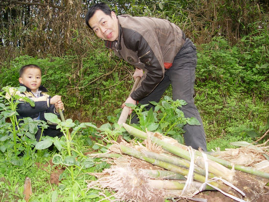 合面镇：全民栽代代传栽竹造林美化家园(图2)