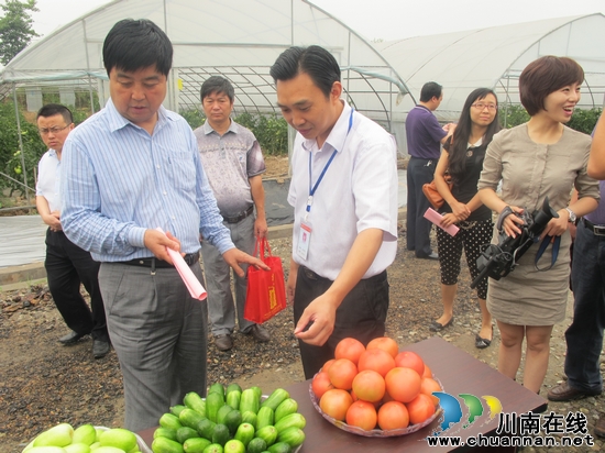 泸州市人大常委会陈雁到特兴镇现代农业园参观考察(图3)