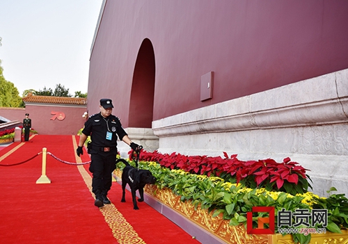 自贡民警携警犬为国庆庆祝活动保驾护航(图2)