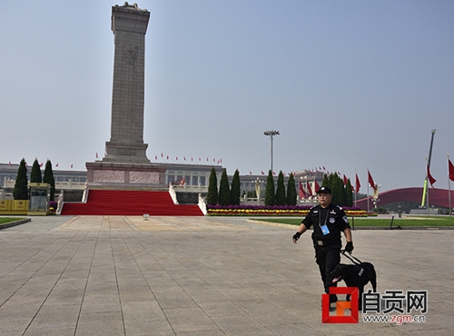 自贡民警携警犬为国庆庆祝活动保驾护航(图4)