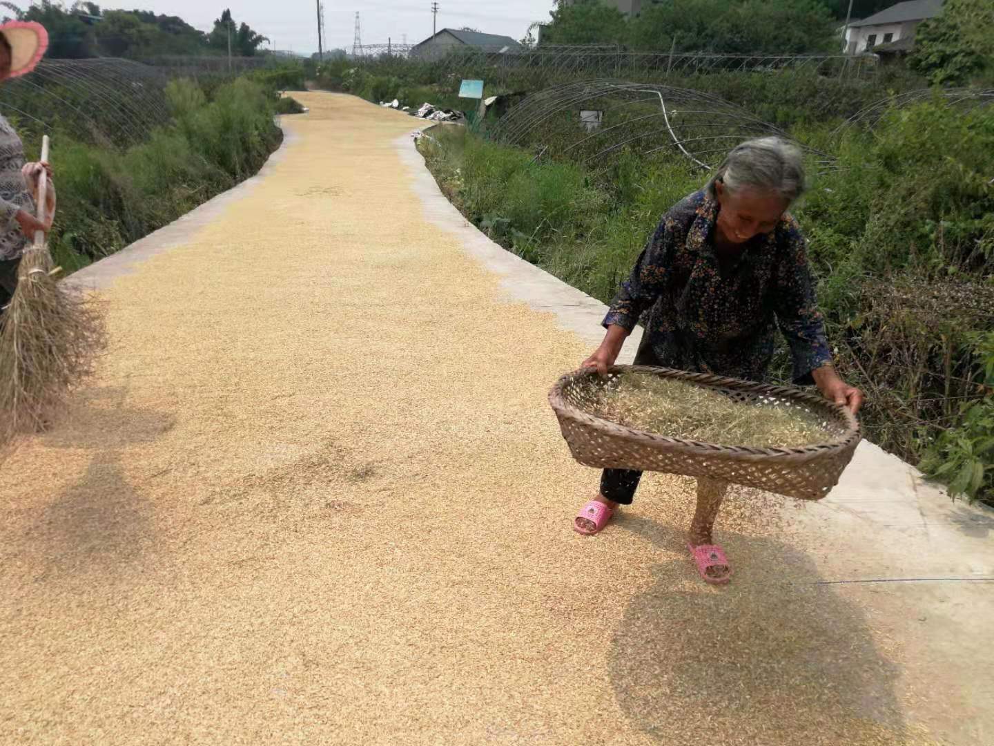 龙马潭区小市街道志愿服务活动践初心(图1)