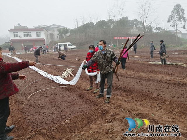 泸县潮河镇：二月春耕忙，播种新希望(图2)