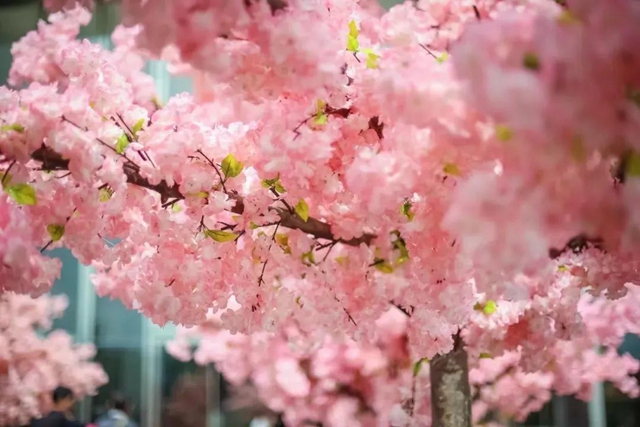 【西南医大中医院驰援武汉·一线】在武汉，他们8人做了同样的决定！