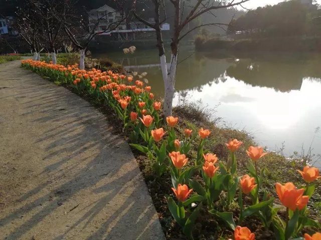 2月29日起，宜宾这些A级景区恢复开园！前往游玩有这些要求(图3)