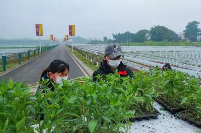 当好“保姆”+“保镖”，江阳全力以“复”(图14)