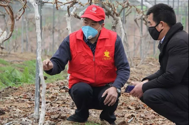 当好“保姆”+“保镖”，江阳全力以“复”(图15)