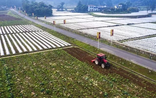 当好“保姆”+“保镖”，江阳全力以“复”(图11)