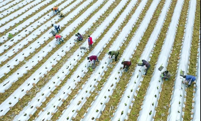 当好“保姆”+“保镖”，江阳全力以“复”(图16)