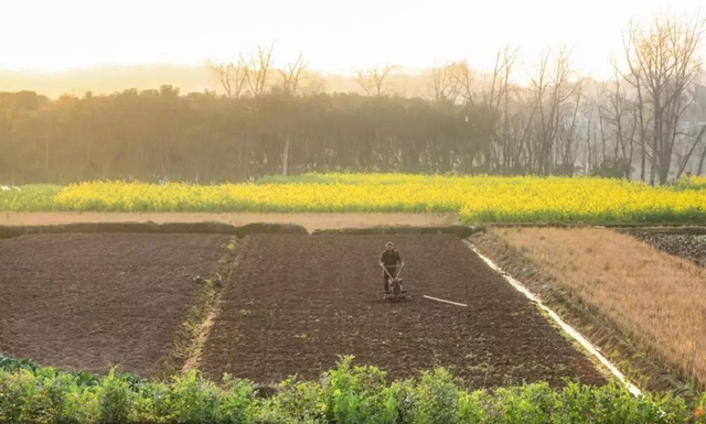 当好“保姆”+“保镖”，江阳全力以“复”(图17)
