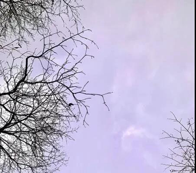 【西南医大中医院•关注】疫情之下！肺癌晚期再次多处转移(图6)