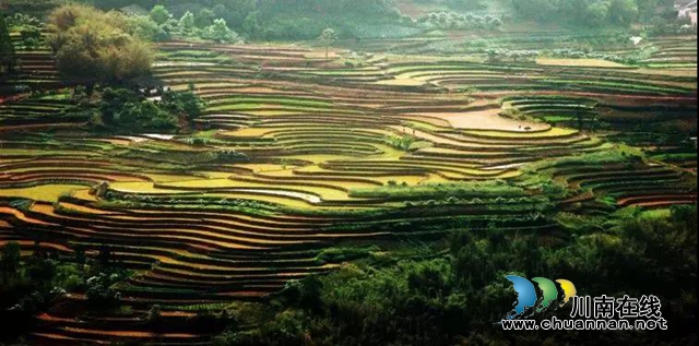 泸州又新增了5个省级“百镇建设行动”试点镇！(图5)